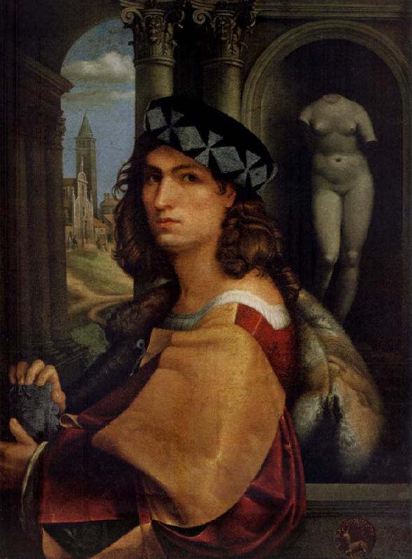 CAPRIOLO, Domenico Portrait of a man Sweden oil painting art